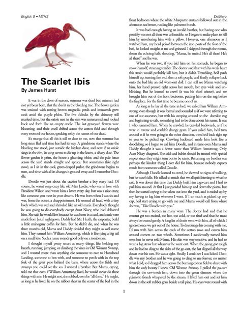Scarlet Ibis Worksheet